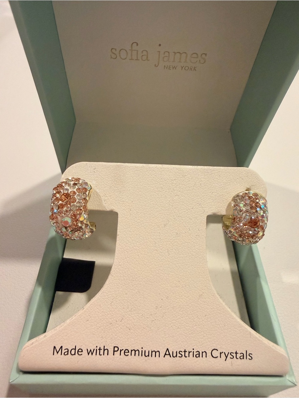 Rose Gold Crystal Hoop Earrings - Picture 6 of 6